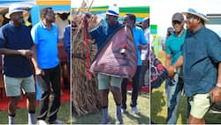 Homa Bay: Raila Odinga Steps out in Pair of Shorts as He Attends Boat Racing, Wrestling