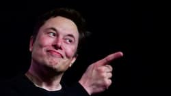 Musk signals Twitter going to 'war' with Apple