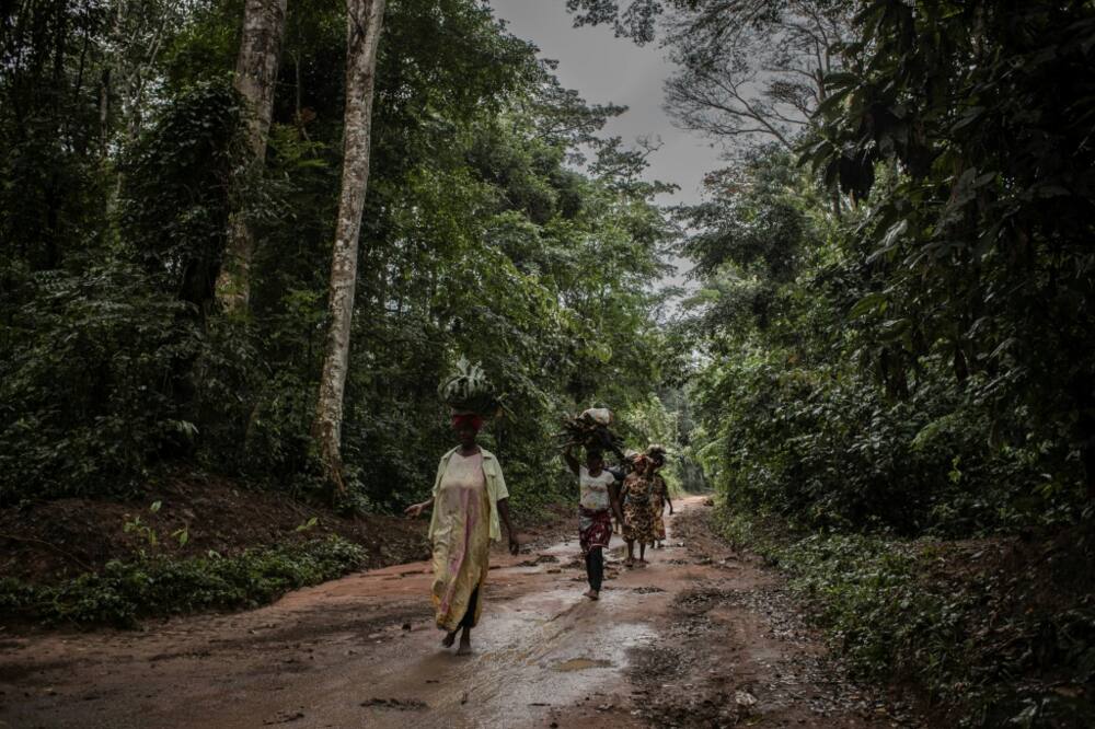 Some say locals have seen little benefit from promised funds to protect the rainforest