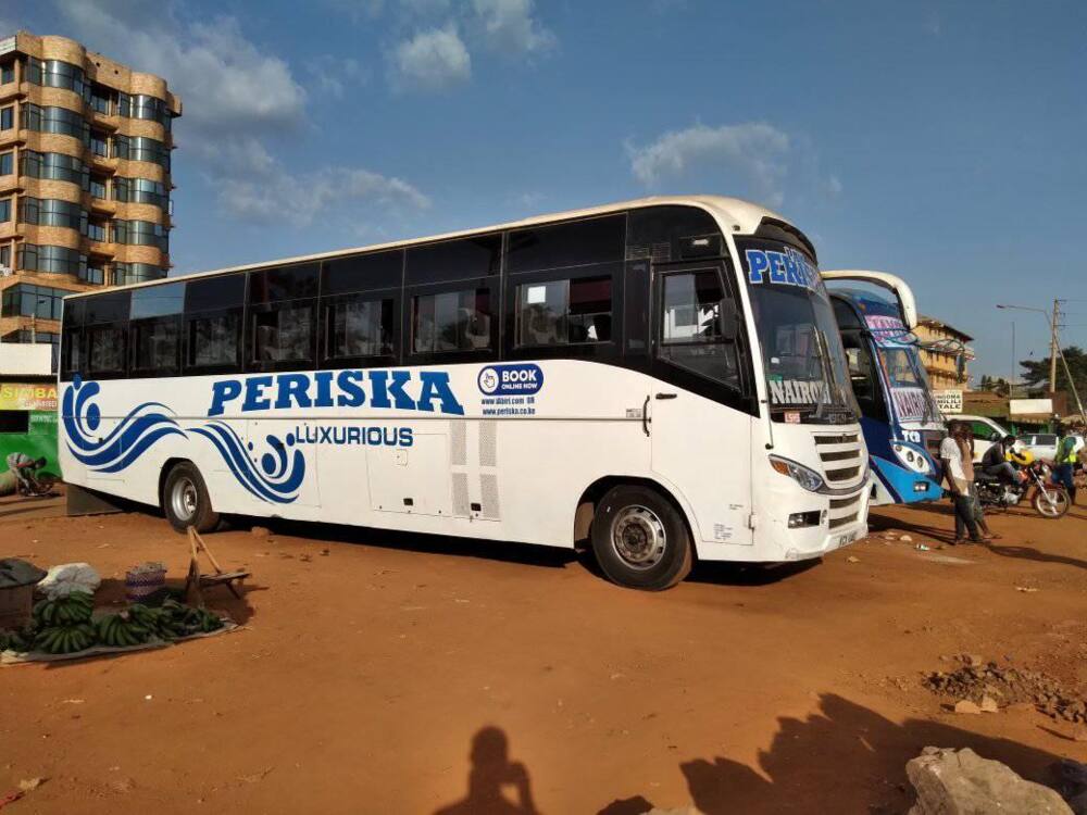 Periska Bus