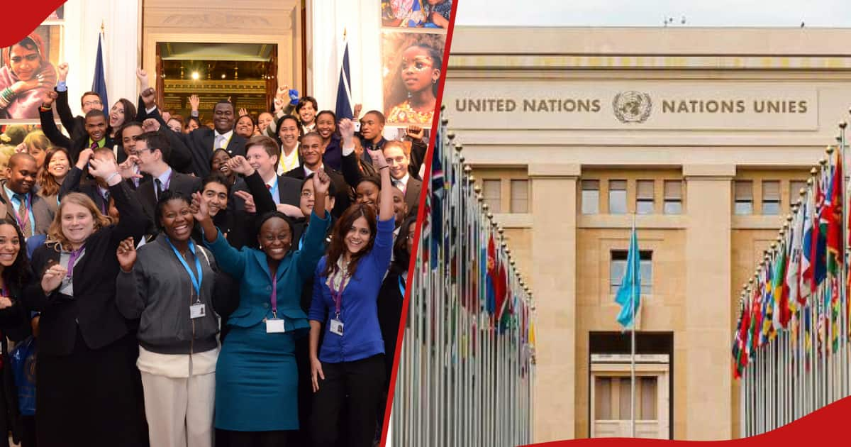 UN Advertises Internship Opportunities For Kenyan Youth Ready To Travel   Ff30ff6661a3d881 