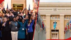 UN Advertises Internship Opportunities for Kenyan Youth Ready to Travel Around the World in 2024