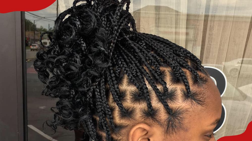 Box braids with a curly ponytail