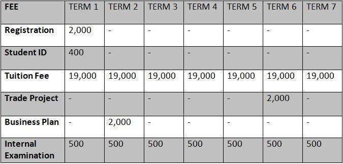 Nairobi Institute of Business Studies courses & fee structure Tuko.co.ke