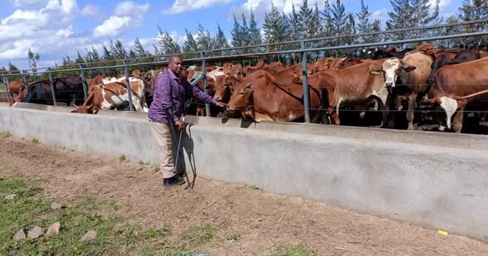David Sankok owns a ranch in Narok.