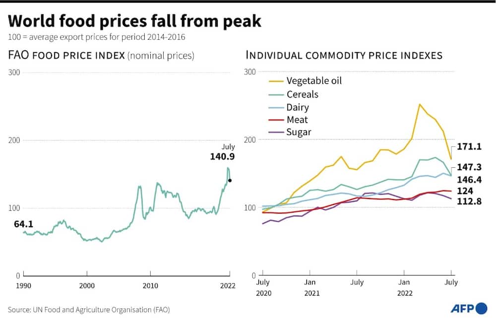World food prices fall from peak