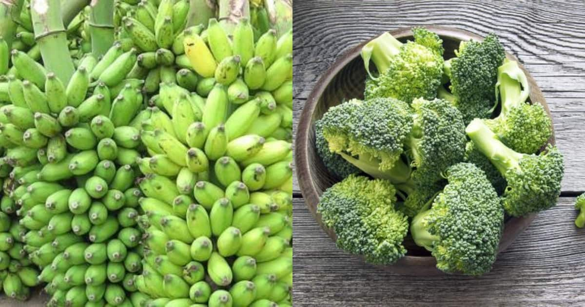 Good news for banana, broccoli farmers in Kenya as Korea ...