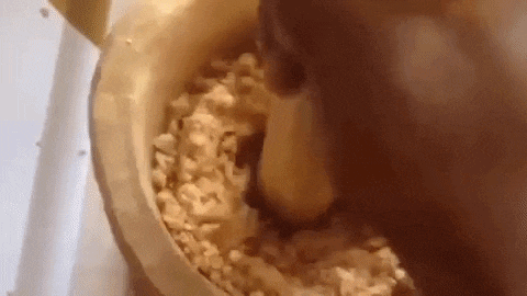 How to make peanut butter at home step-by-step